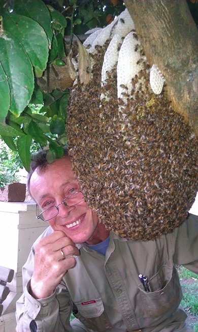 Nikolai with natural hive